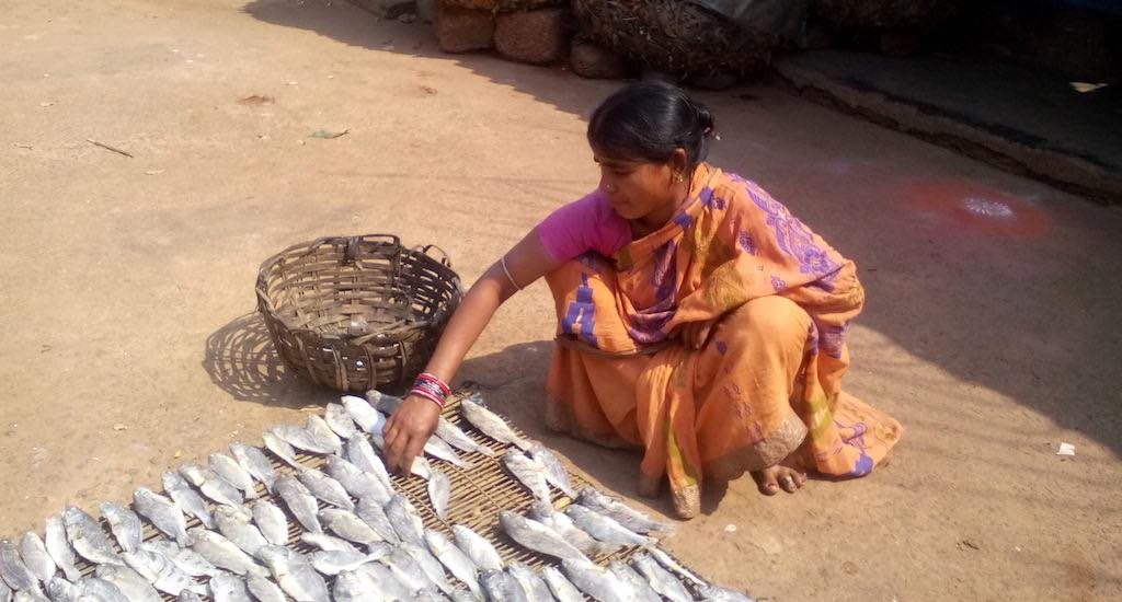 Juvenile fish have a good demand as fresh and dried fish. (Photo by Rakhi Ghosh